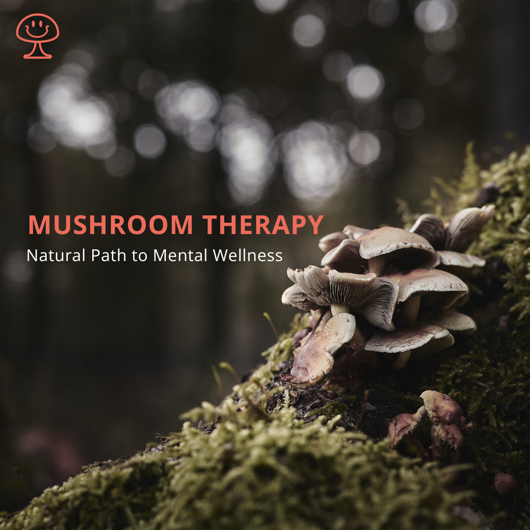 Mushroom Therapy Success Stories and Real Life Results