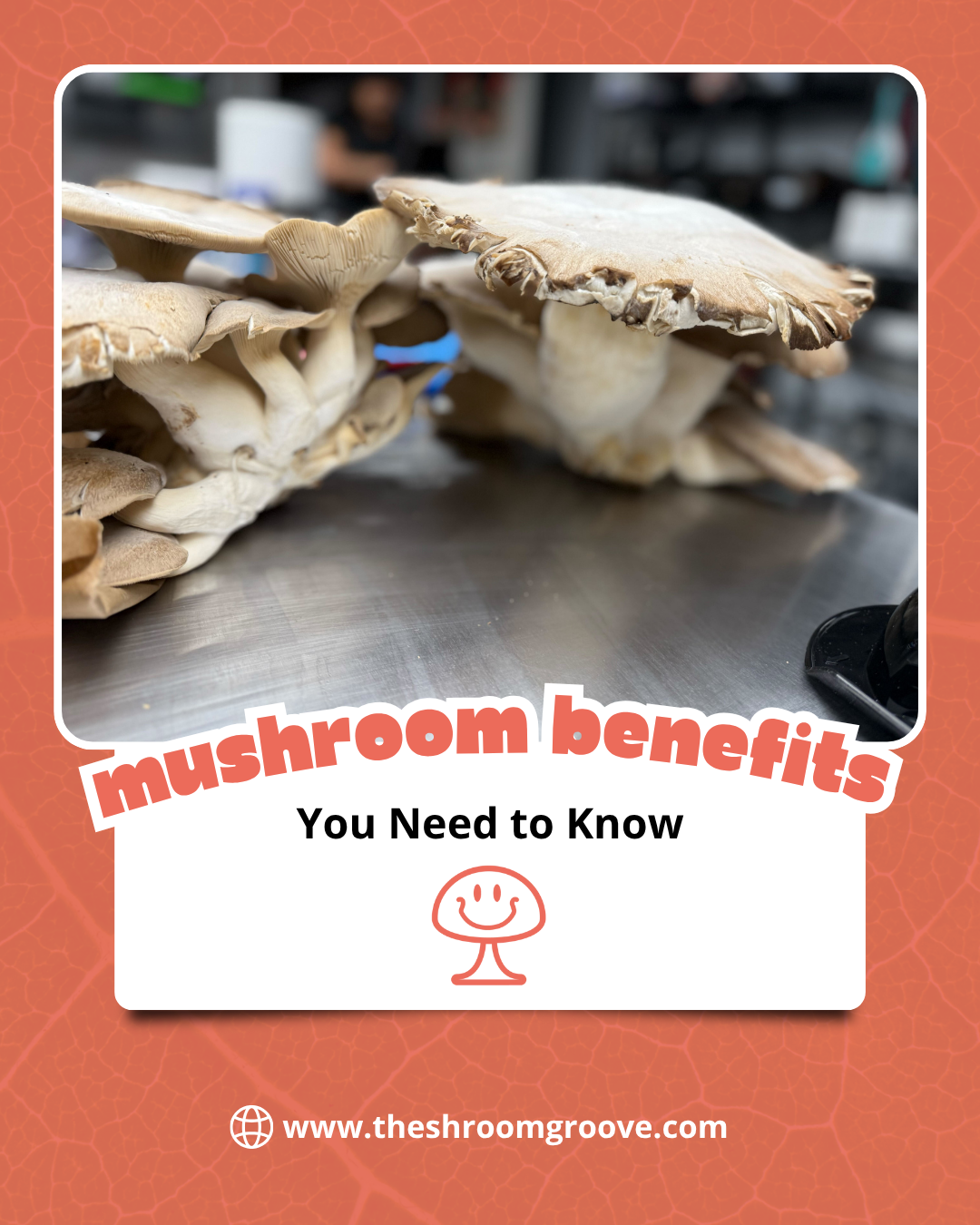 Amazing Benefits of Mushrooms for Your Body and Mind Daily