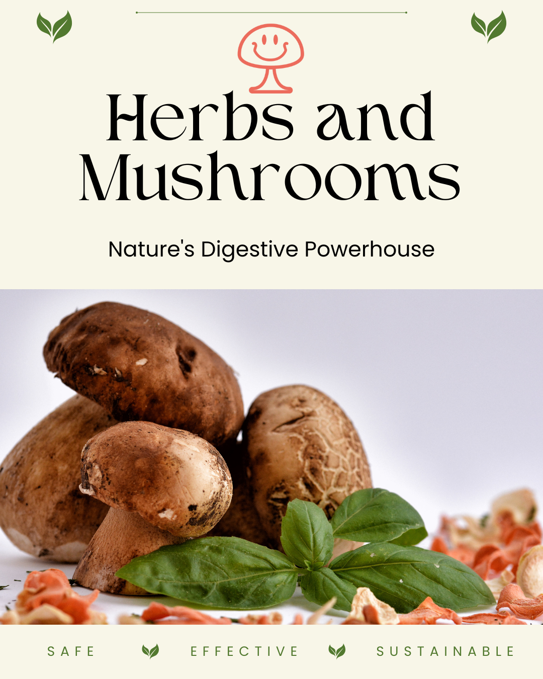 Best Herbs and Mushrooms for Better Digestive Health Today