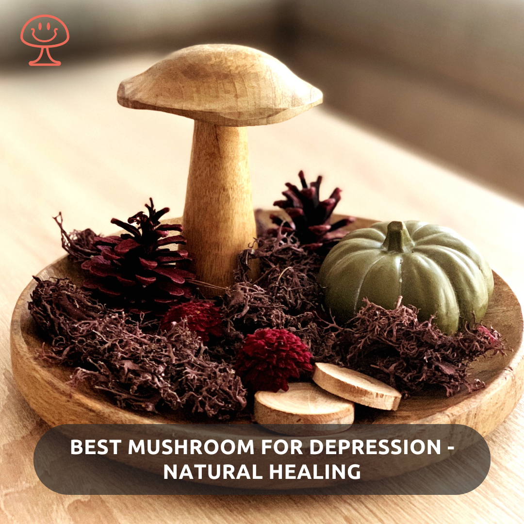 Best Mushroom for Depression: Safe Natural Alternatives