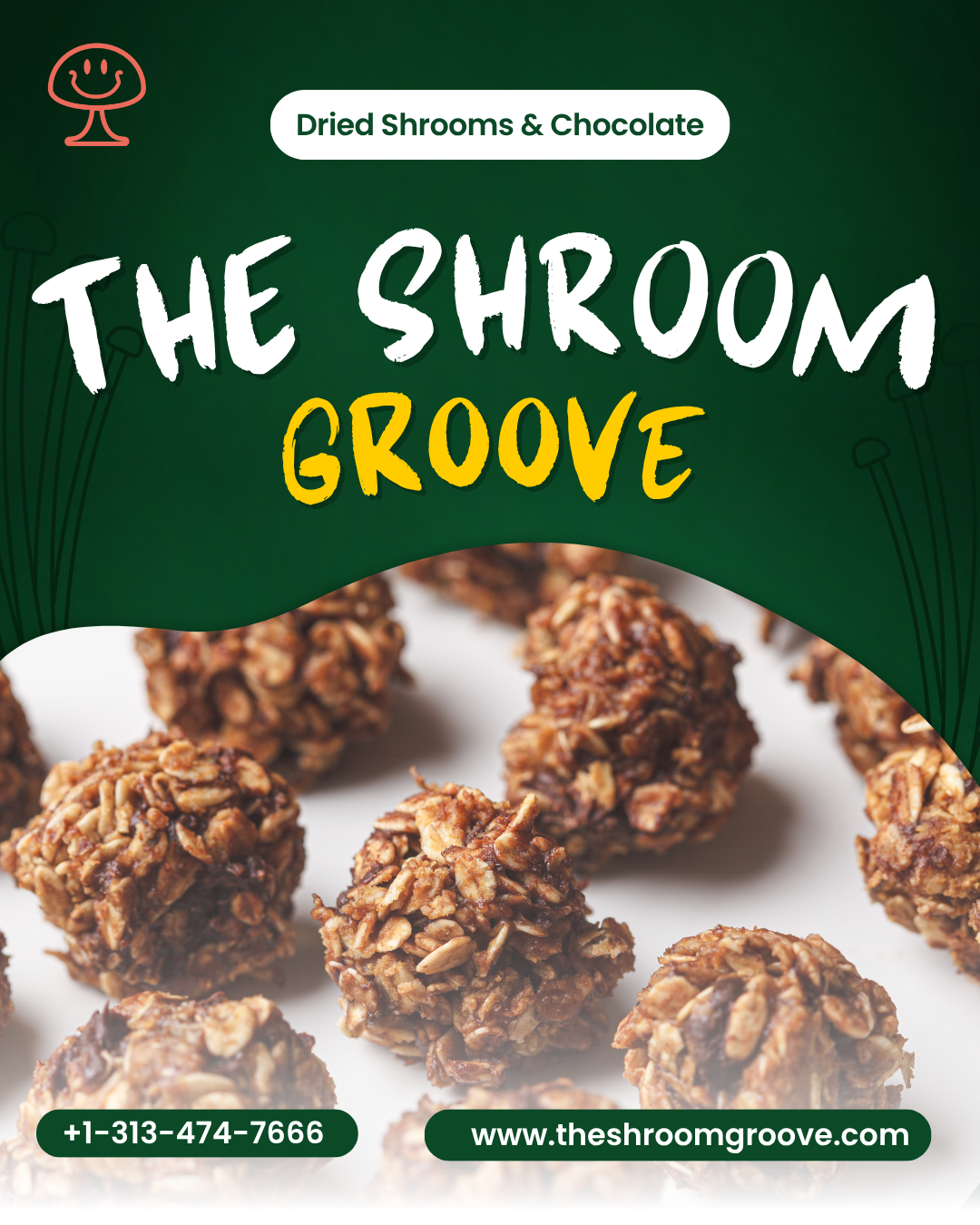 Dried Shrooms & Chocolate – The Shroom Groove: A Flavorful Fusion