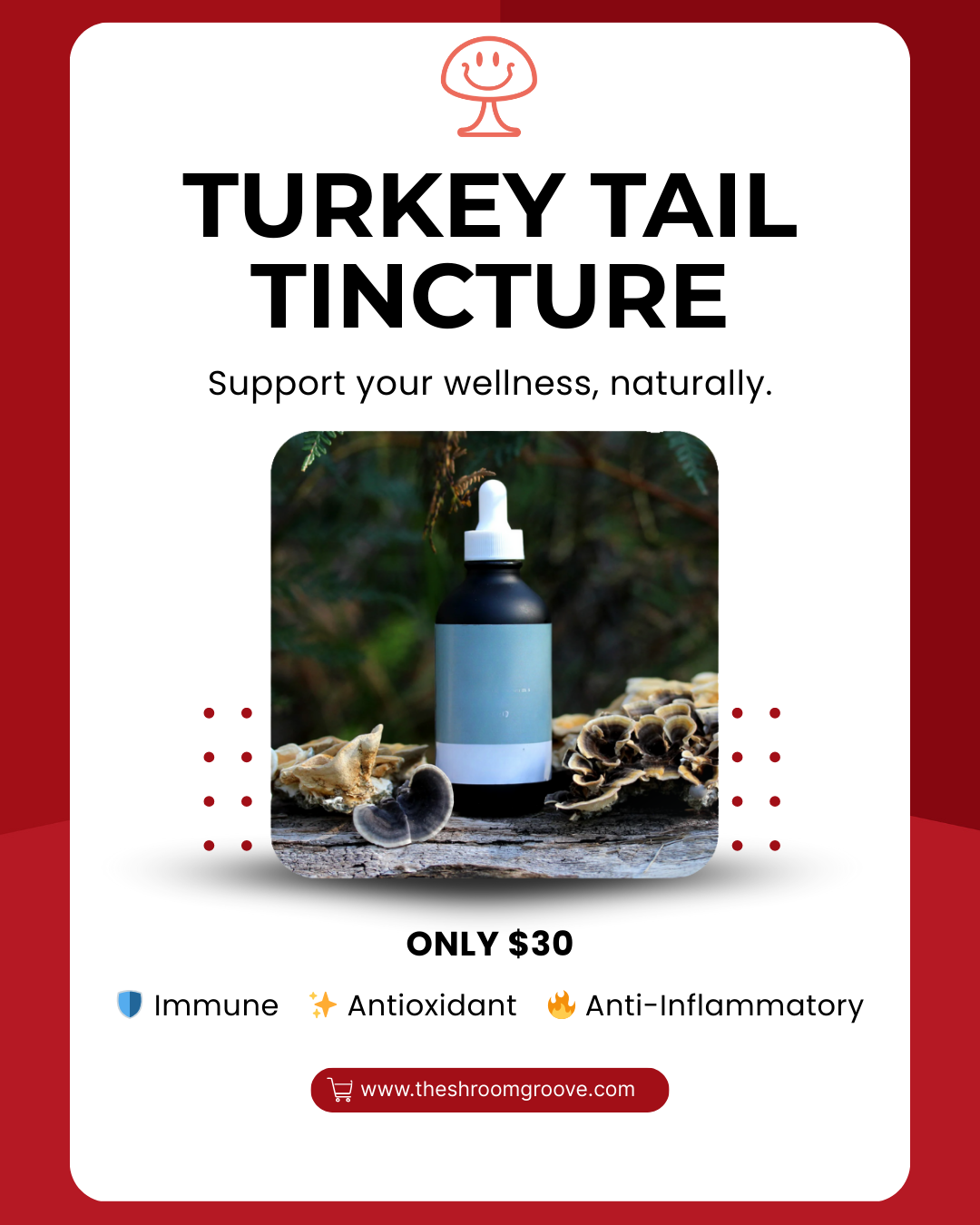 Turkey Tail Mushroom Tincture for Daily Wellness