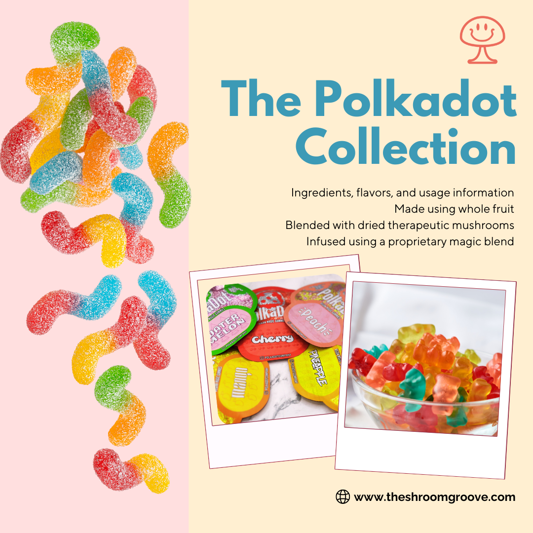 A Comprehensive Guide to the Polkadot Collection