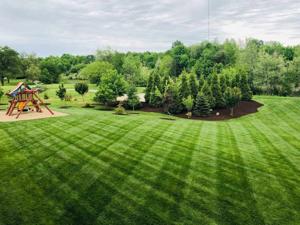 Honda: Powering Innovation and Eco-Efficiency in South Korea’s Evolving Lawn Care Market