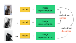 What Is Driving the Self-Supervised Learning Market Boom in 2025?