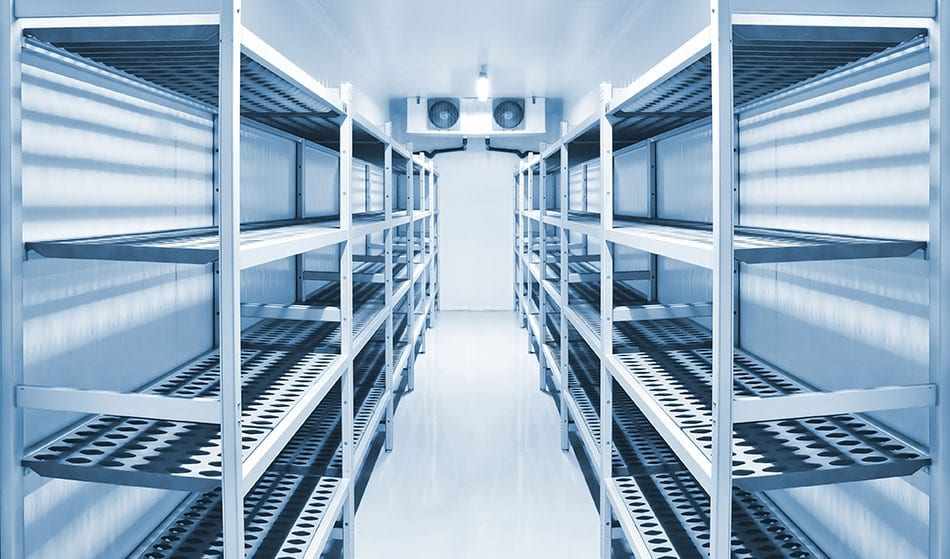 How Is Automation Reshaping the Cold Storage Market? Recent Trends and Innovations