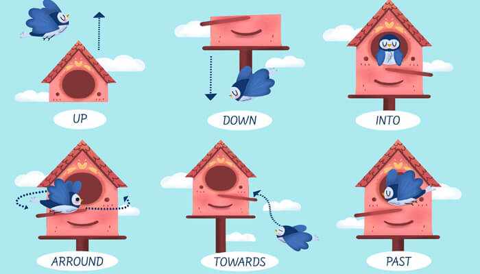 Why Was Flappy Bird Removed? The Untold Story