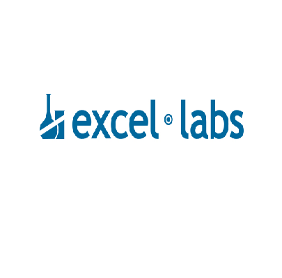 Excel Labs