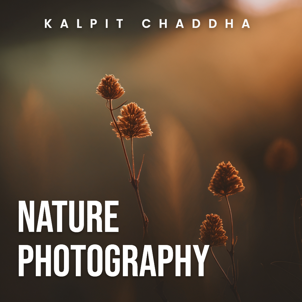 Nature Photography on 8th January 2026