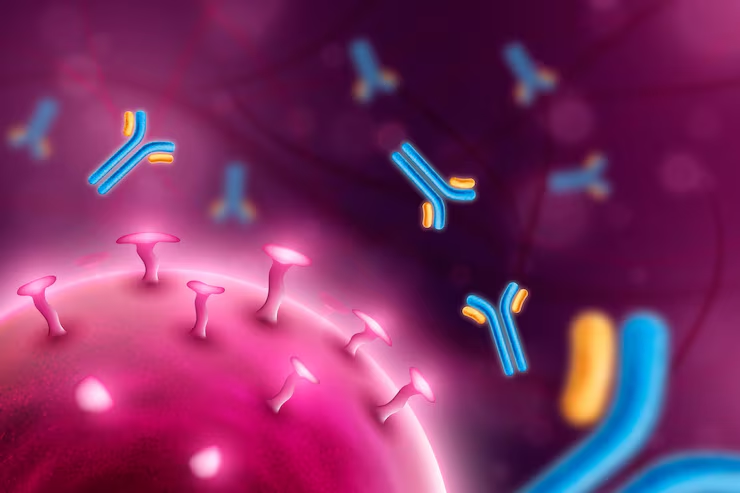What Is a Monoclonal Secondary Antibody and How Does It Work?