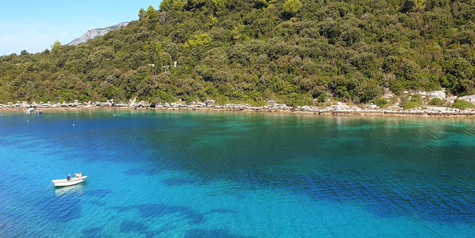 The Luxury Report: Your Go-To Source for Global Elegance and Lifestyle