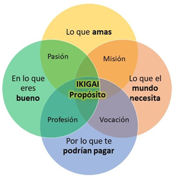 Mi cuarto artículo