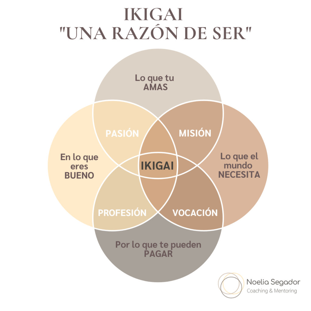 "Estilo, números y propósito: así nace mi visión emprendedora"
