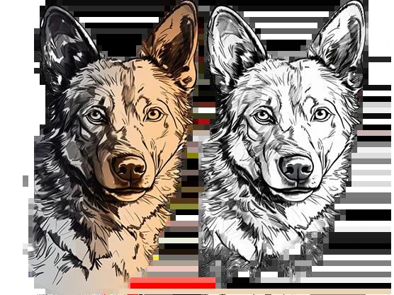 Professional Raster to Vector Conversion – Accurate & Reliable Vector Tracing Service