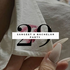 Chapter 29: Sangeet & Bachelor's Party