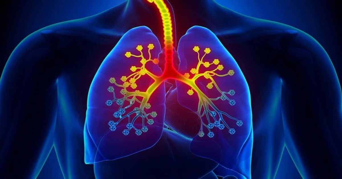 Best Chest Specialist Doctor in Varanasi – Top Pulmonologists for Lung & Respiratory Care (2025)