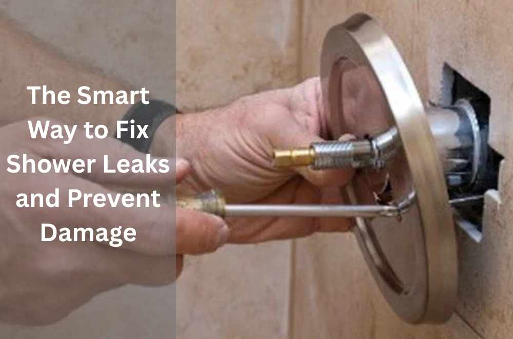 The Smart Way to Fix Shower Leaks and Prevent Damage