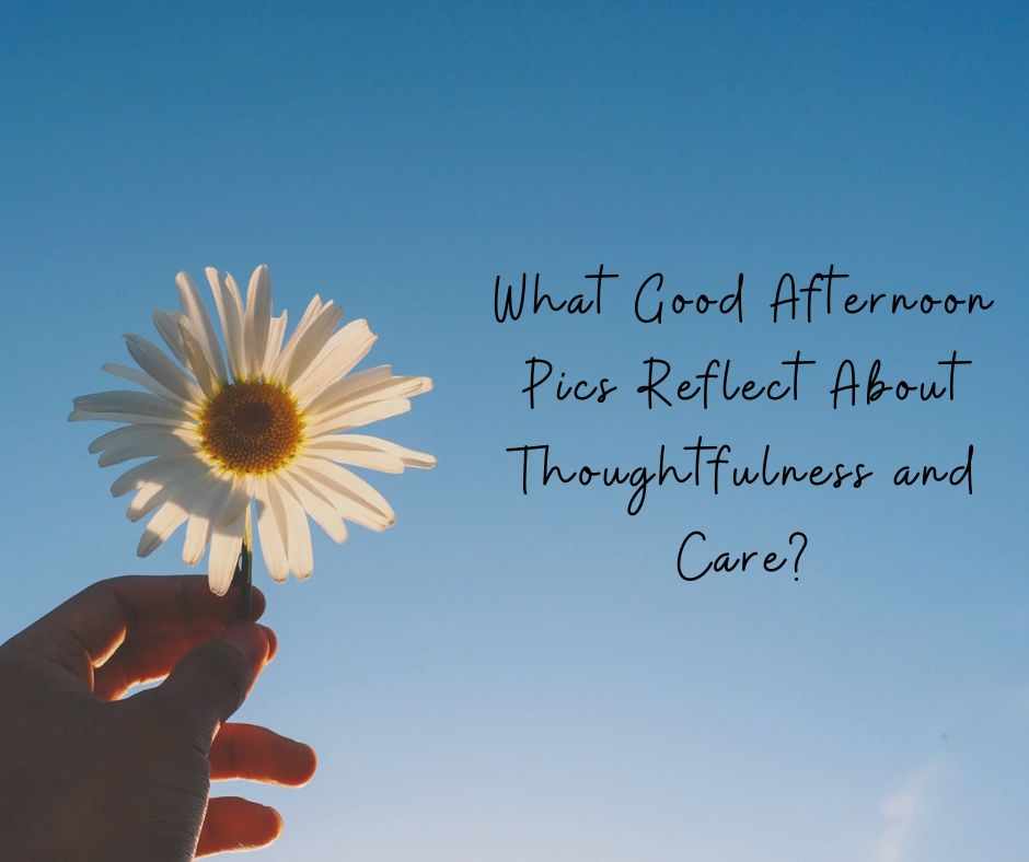 What Good Afternoon Pics Reflect About Thoughtfulness and Care?