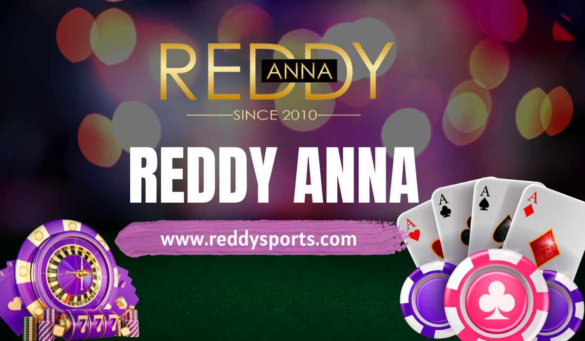 How to Make the Most of Your Reddy Anna Login Experience