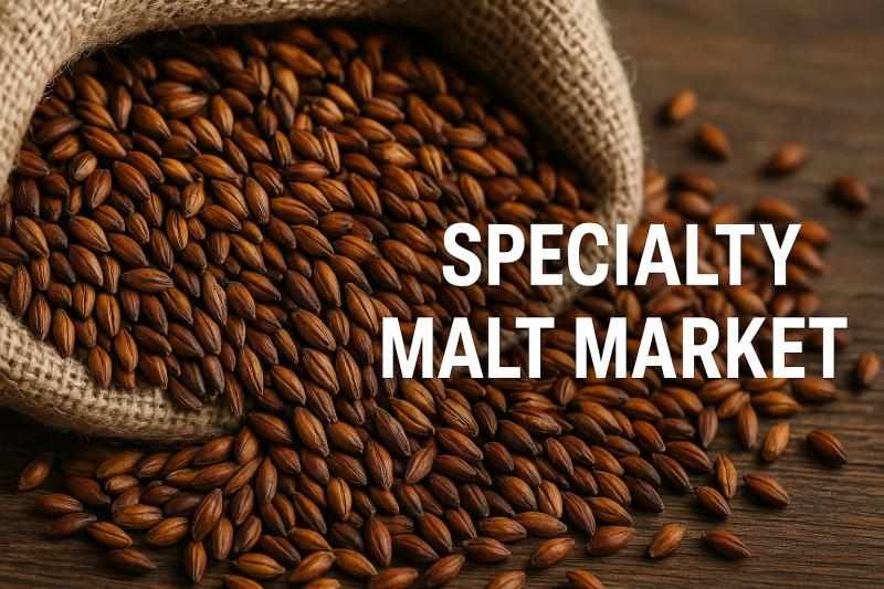 Specialty Malt Market by Top Manufacturers with Production, Price, Revenue (value) and Market Share to 2035