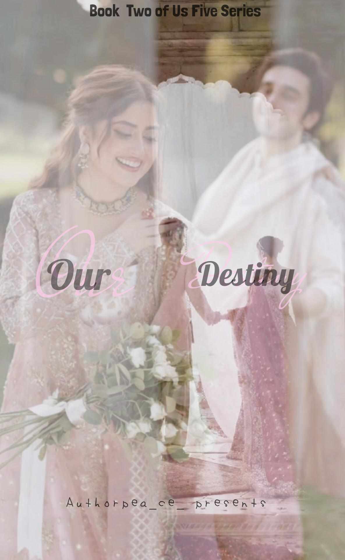 Our Destiny {Book Two of Us Five Series}