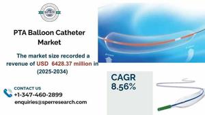 PTA Balloon Catheter Market Size, Share and Growth 2033