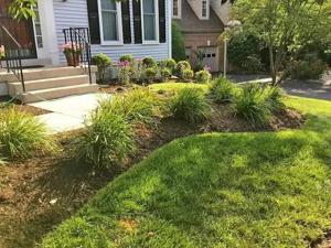 Keep Your Lawn Cooler by Raising Mower Height in Summer