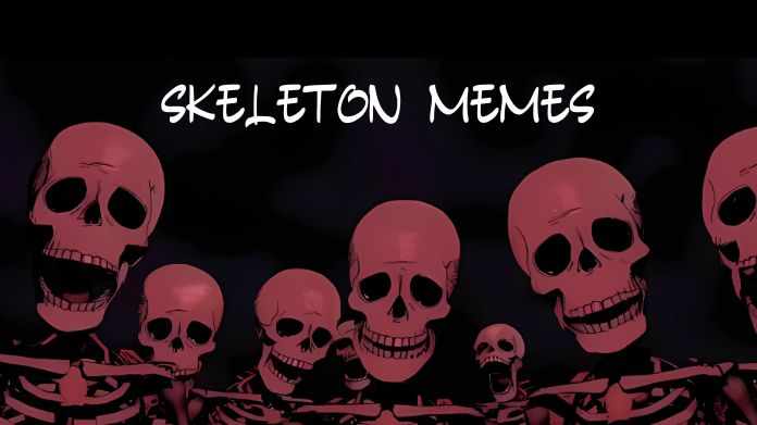 How Skeleton Memes Became Internet Icons