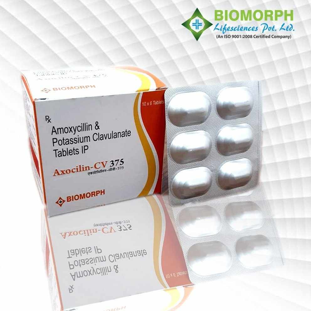 AXOCILIN-CV 375: A Comprehensive Overview