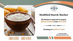 Modified Starch Market Size And Future Outlook 2034