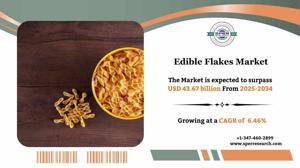 Edible Flakes Market Size, Revenue And Future Opportunities 2034