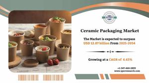 Ceramic Packaging Market Growth And Future Opportunities 2034