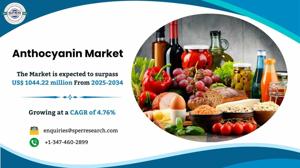 Anthocyanin Market Share and Future Investment 2034