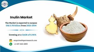 Inulin Market Share, Trends, Growth and Future Opportunities 2034