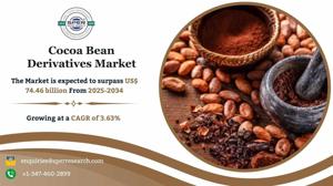 Cocoa Bean Derivatives Market Size, Share, Growth and Analysis 2034