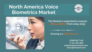 North America Voice Biometrics Market Analysis: Share and Forecast 2024–2033