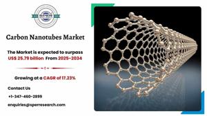 Carbon Nanotubes Market Size, Share, Growth and Forecast 2034