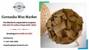Carnauba Wax Market Size, Share, Growth and Trends 2034