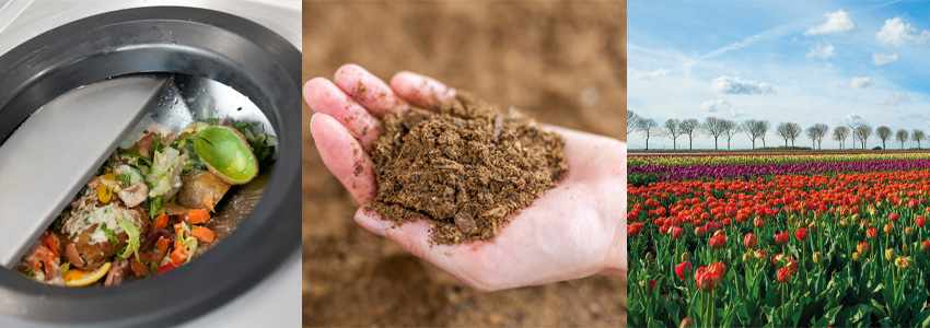 Revolutionising Waste Management: How Food Waste Collection Companies are Transforming Sustainability