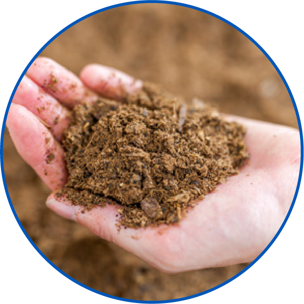 Waste Management in Hotels and Restaurants: Revolutionising Food Waste with Industrial Grinders
