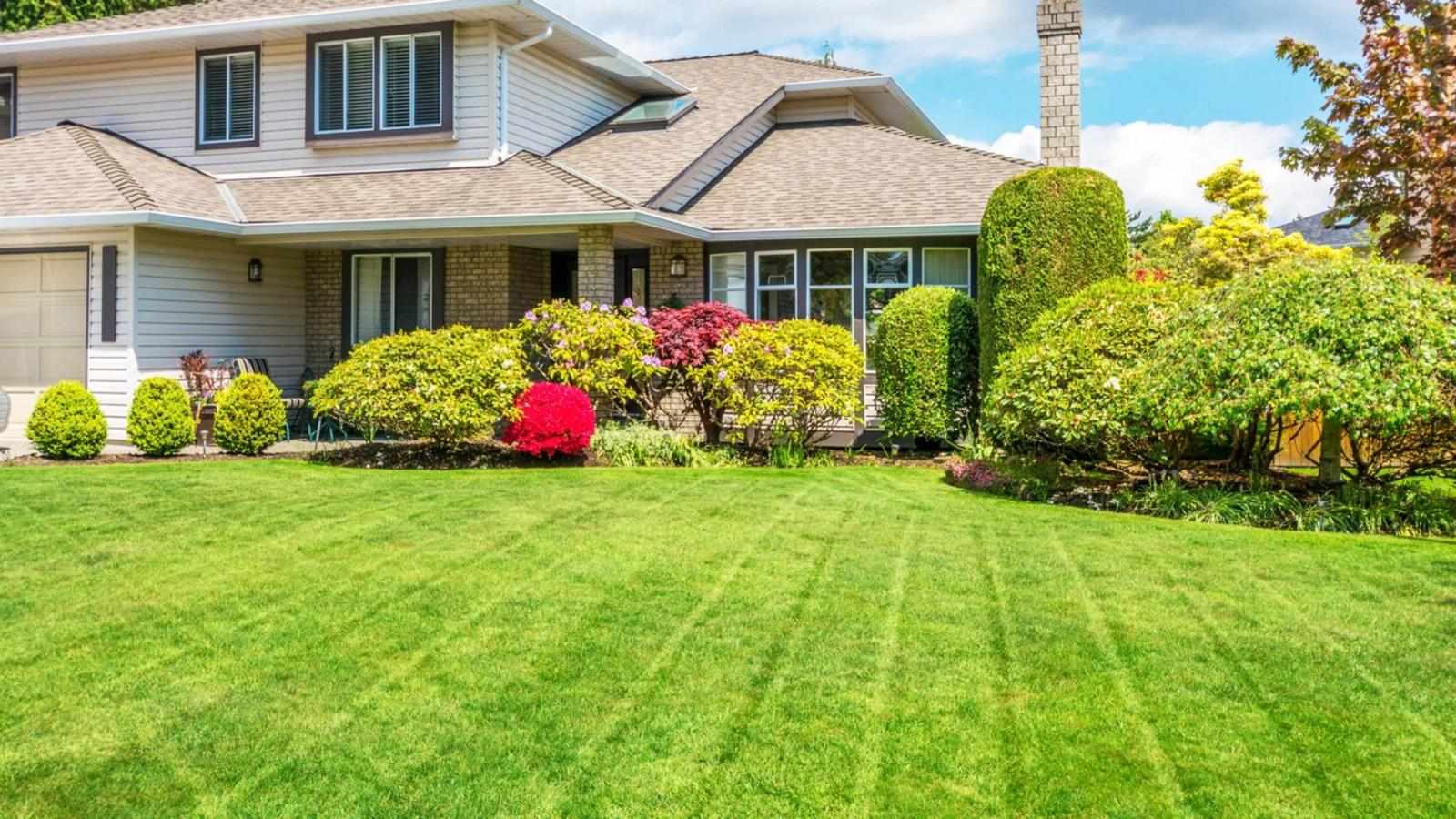 Transforming My Outdoor Space: A Customer’s Journey with Spring Landscape Renovation Services