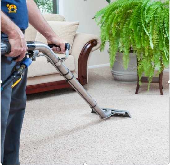 Professional Carpet Cleaning & Grout Services in Hawaii That Make a Difference