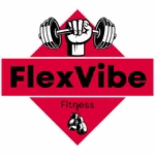 Premium Adjustable Dumbbells for Versatile Strength Training | The Flex Vibe Fitness