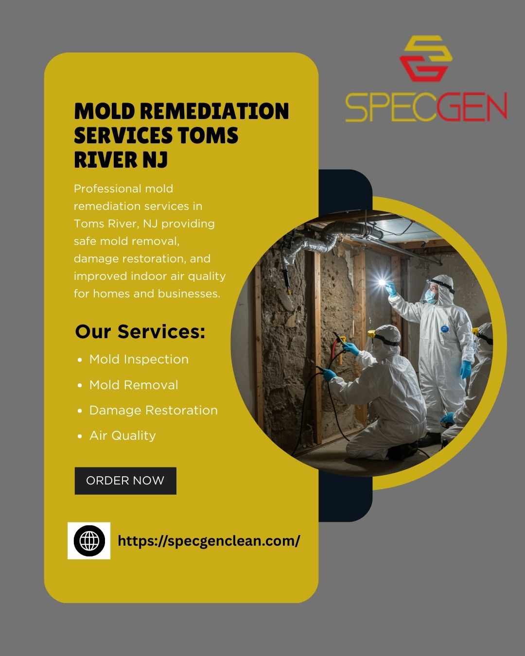 Professional Mold Remediation Services in Toms River, NJ | Safe & Certified Mold Removal