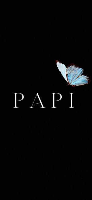 𝐏 𝐀 𝐏 𝐈 logo