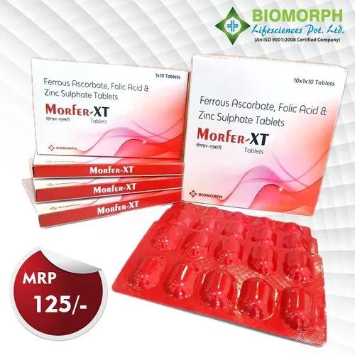 MORFER-XT: Reshaping the Future of Intelligent Systems