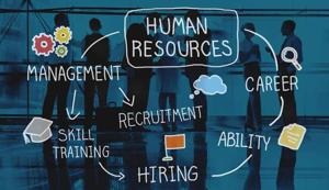 How Small Businesses Can Benefit from HR Consulting Services