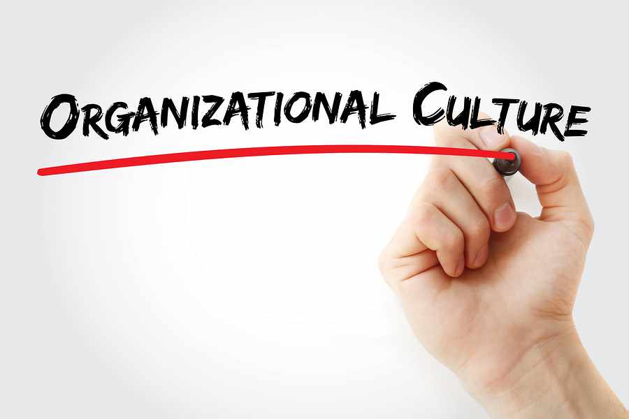 12 Types of Organizational Culture You Should Know