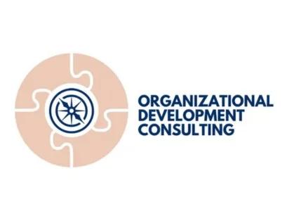 The Role of Organizational Development Consulting in Driving Business Growth