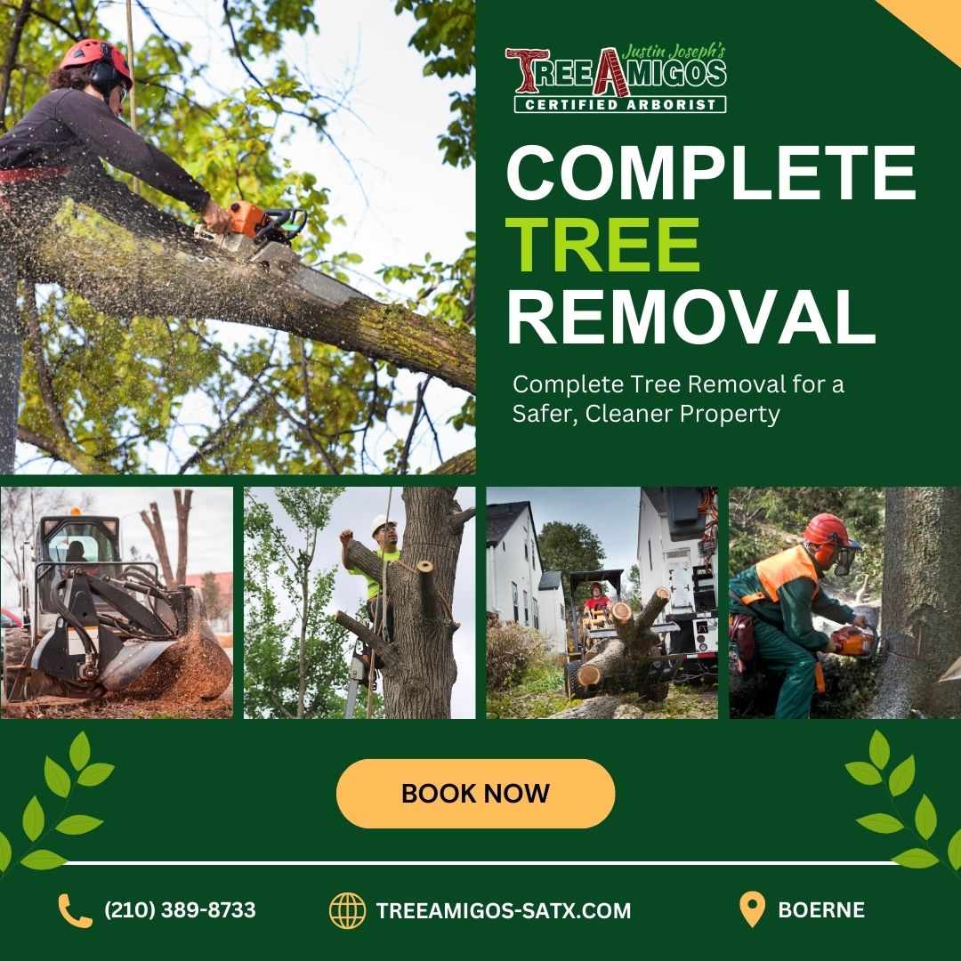 Complete Tree Removal in Boerne